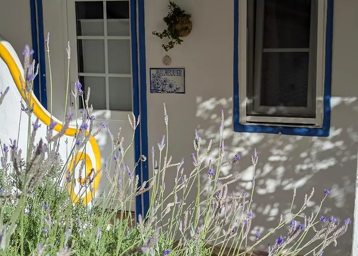 Quinta Do Caracol Kır Evi *